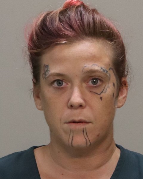 Mugshot of JESSICA LYNN DIXON