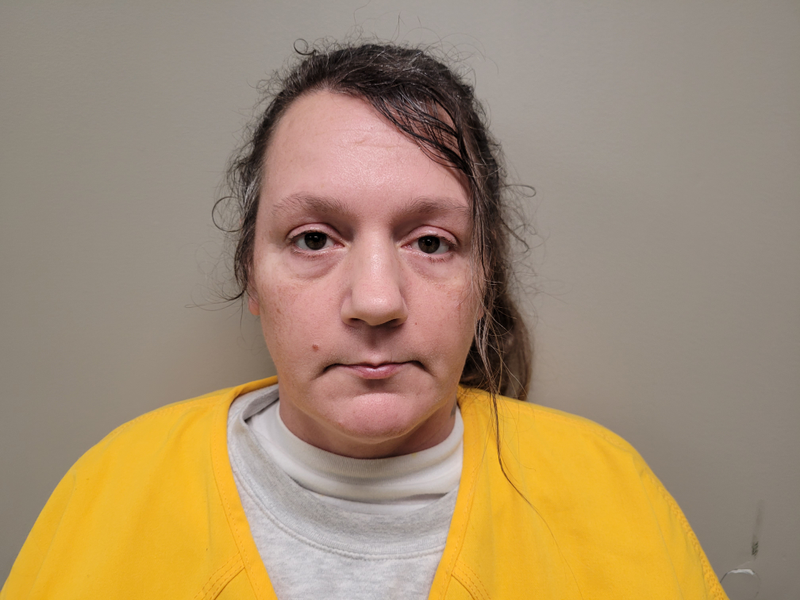 Mugshot of LORI BETH HART