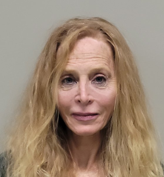 Mugshot of LORI SARIDAKIS