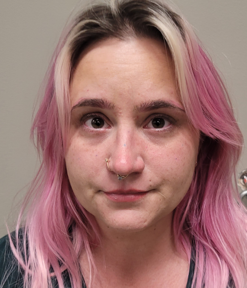 Mugshot of DANIELLE ELIZABETH OUELLETTE
