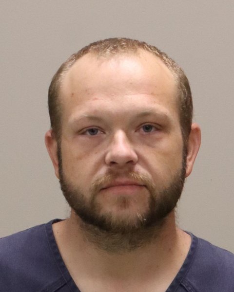 Mugshot of ROBERT TYLER DALE LIVINGSTON