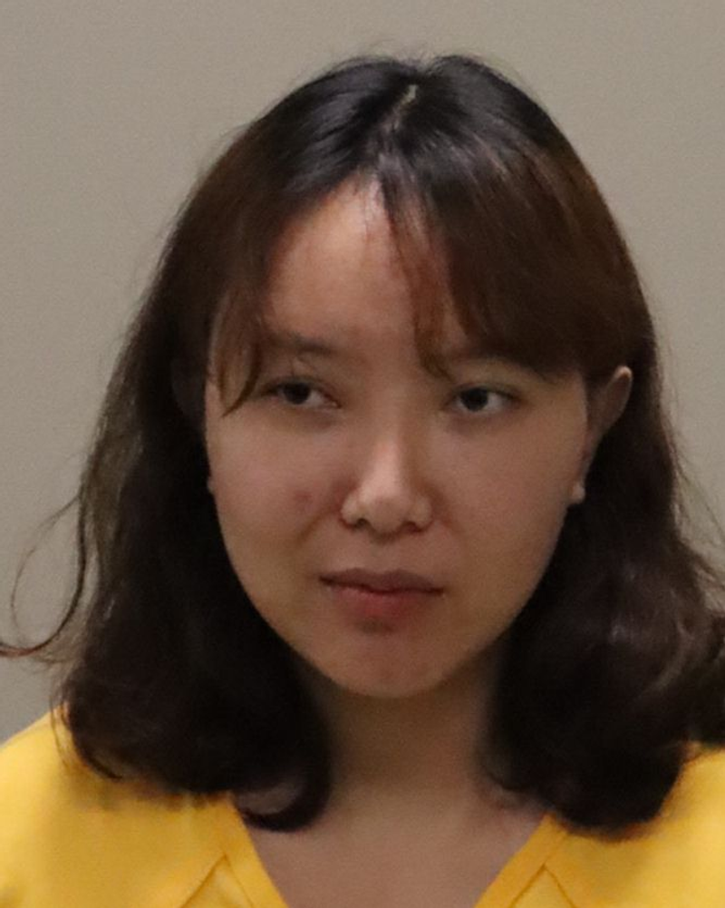 Mugshot of JIA XIA
