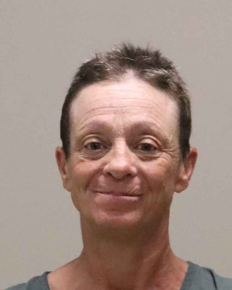 Mugshot of MICHELLE LYNN CRONK