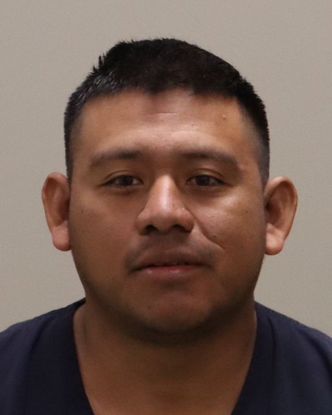 Mugshot of HERMINO HERMEREGILDO SALES