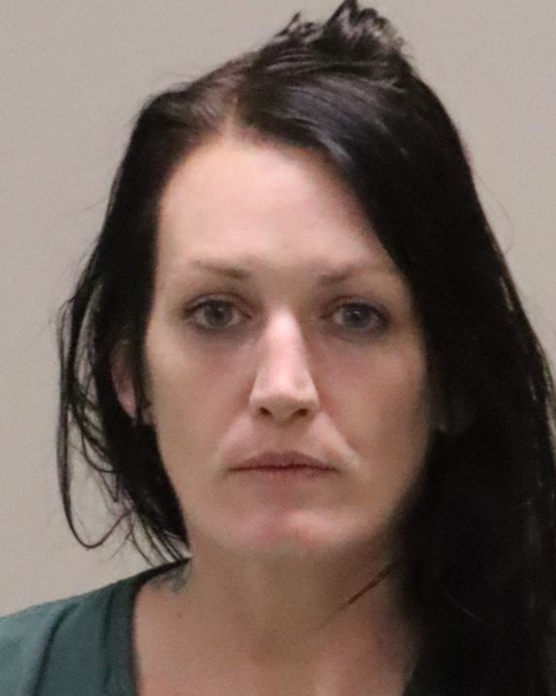 Mugshot of ABBY LYN SCHAGRIN