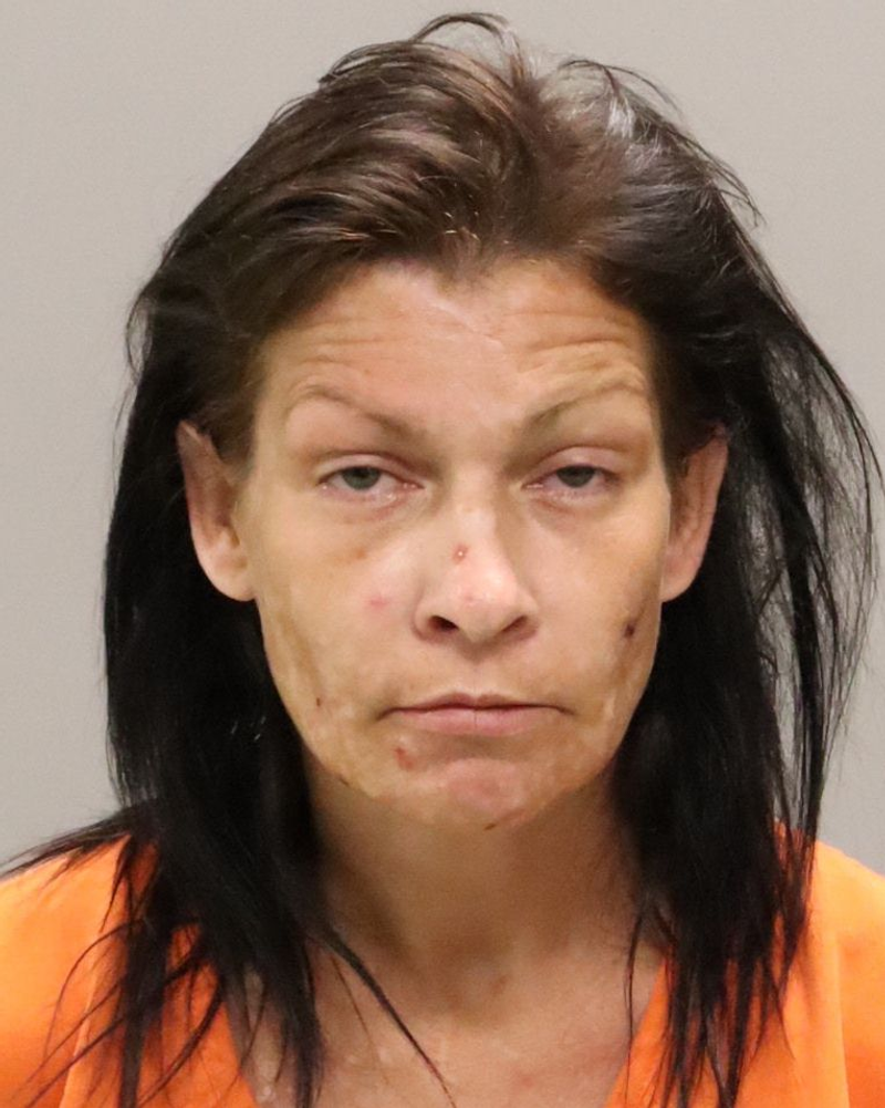 Mugshot of SAMANTHA SUDELIAS
