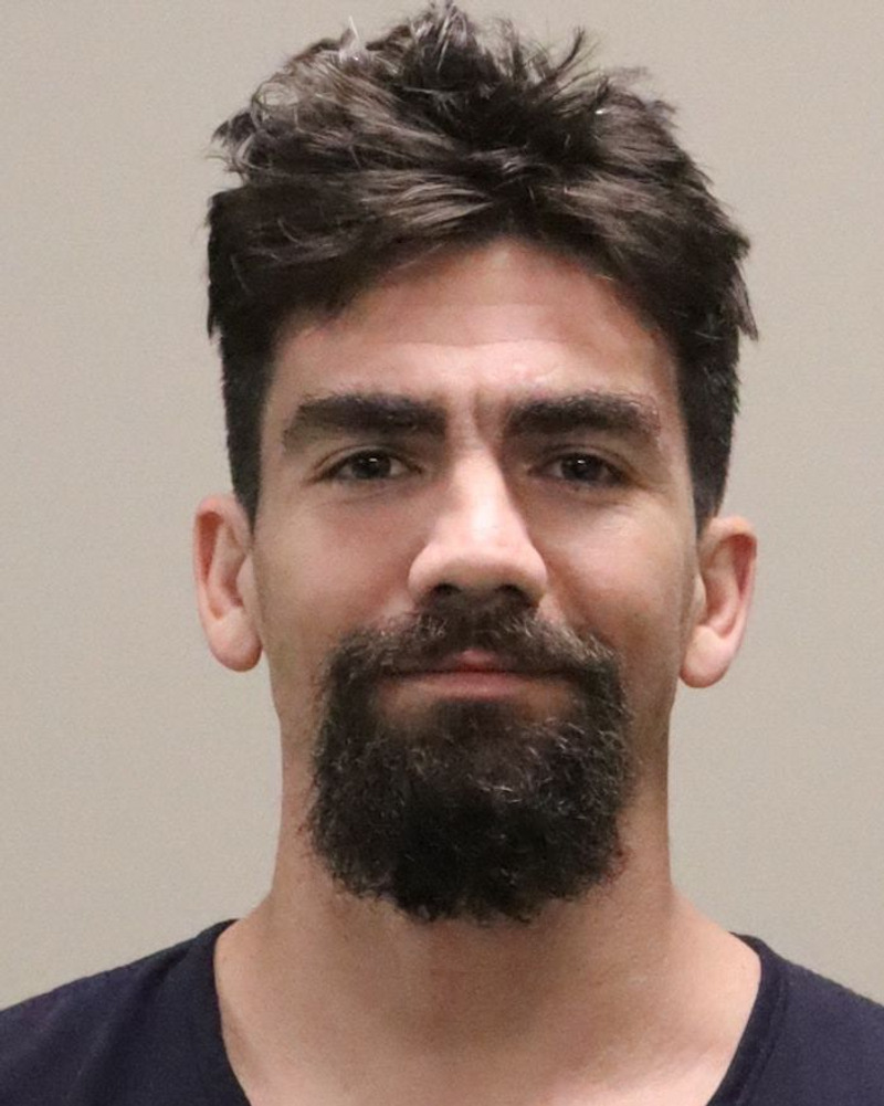 Mugshot of MICHEL JOSEPH MCGILLIS
