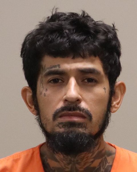Mugshot of JUAN CARLOS FLORES