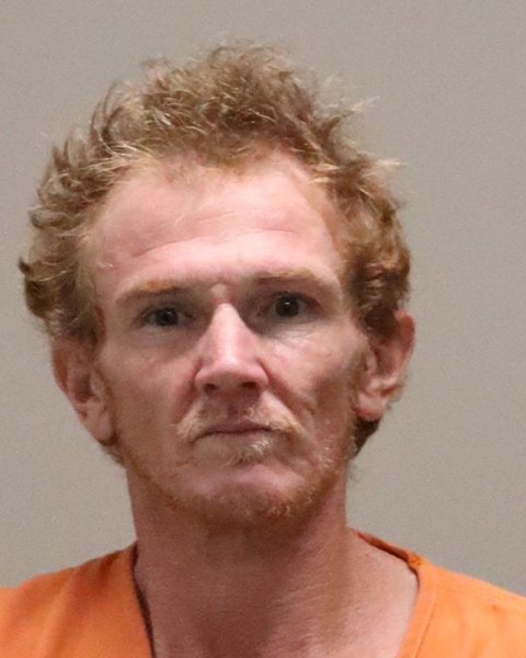 Mugshot of BRYAN LEE GAVENSKY