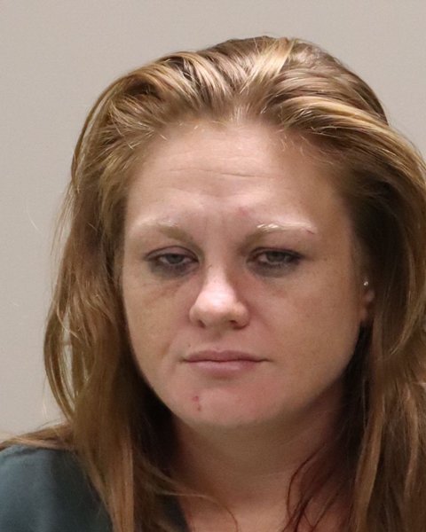 Mugshot of NIKKI LEE SPECK