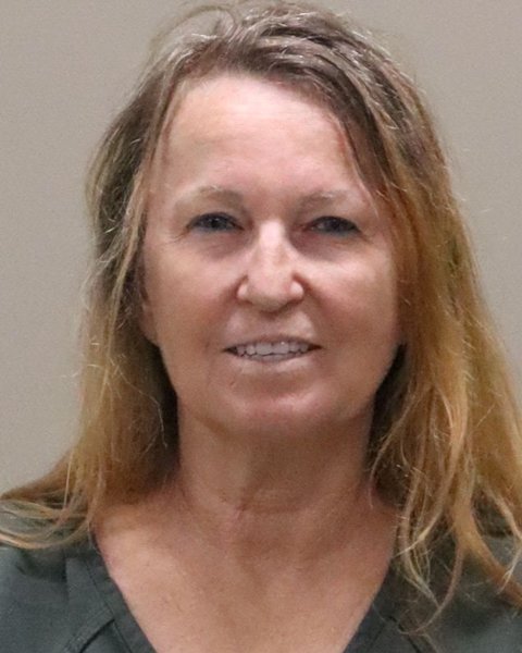 Mugshot of DONNA KAY WOLF