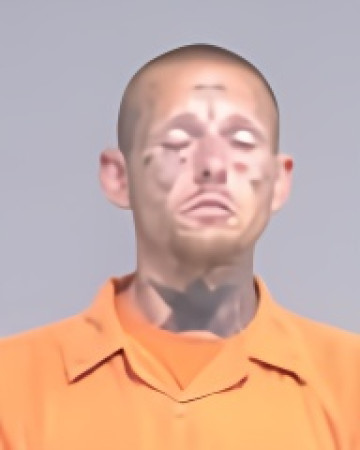 Mugshot of HOWARD STONEY BLANCHFIELD