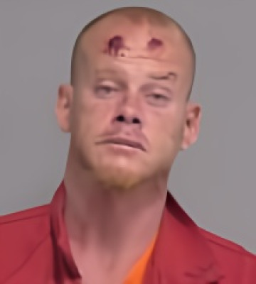 Mugshot of JAMES LEE MCMURRAY