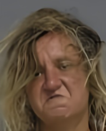 Mugshot of YULIA PISARSKAYA