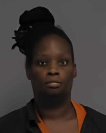 Mugshot of ASHLEY TNIESE BRUNNER