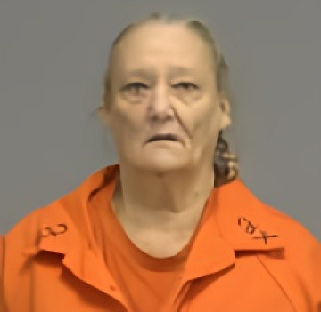 Mugshot of CHERYL ANN GALLOWAY
