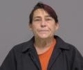 Mugshot of KARIN JONES CLARK