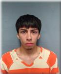 Mugshot of LUIS CASTANEDA-SUAREZ