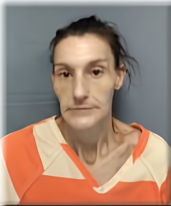 Mugshot of LINDA PHILLIPS