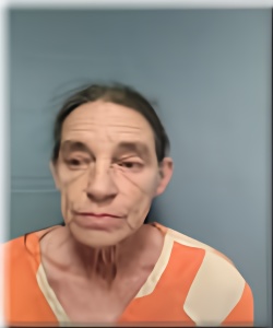 Mugshot of CAROL HARDY
