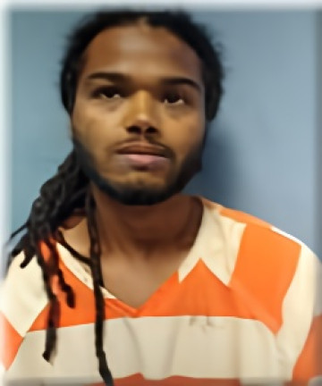 Mugshot of MITCHELL SMEDLEY
