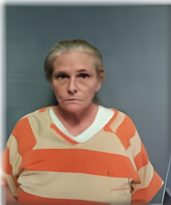 Mugshot of LESLIE RAY