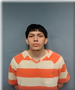 Mugshot of RAUL PEREZ