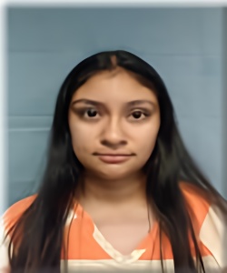 Mugshot of LEMORI GUZMAN-ARREDONDO