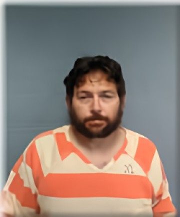 Mugshot of ROBERT PARMER