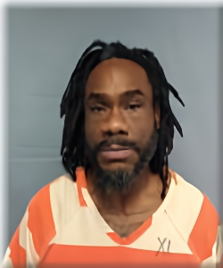 Mugshot of TIMOTHY LOWE