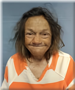 Mugshot of KATHRYN WILKINS
