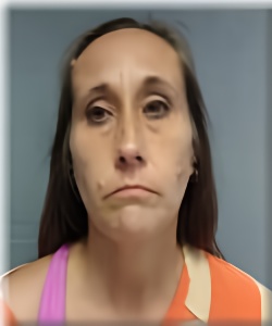 Mugshot of AMANDA DAVIS