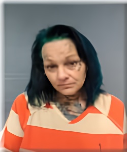 Mugshot of SUSAN FORD