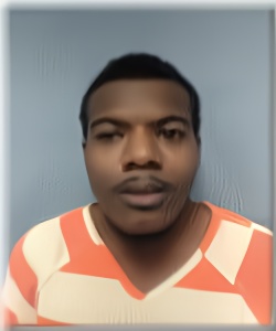Mugshot of THOMAS MITCHELL