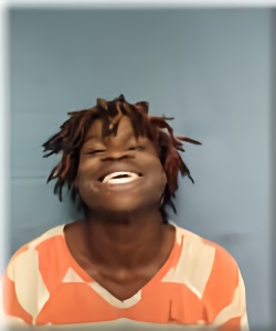Mugshot of LEVI HICKMAN