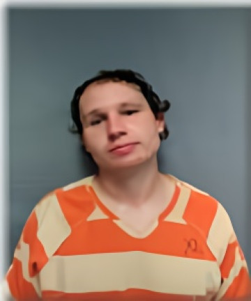 Mugshot of BRADLEY ANDERSON