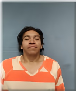 Mugshot of MARDOQUEO ORELLANA-VALDEZ