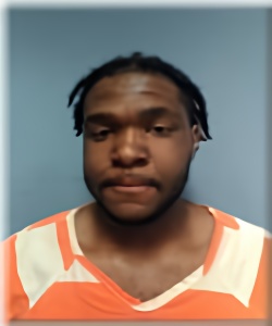 Mugshot of DAMOY MILLER