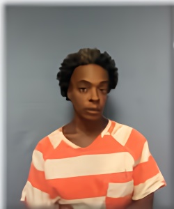 Mugshot of ASHLEY GOODMAN