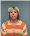 Mugshot of STUART HARRISON