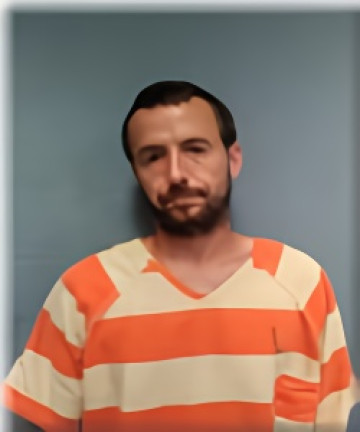 Mugshot of SHANNON BROWN