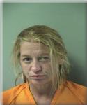 Mugshot of MANDY GNADER