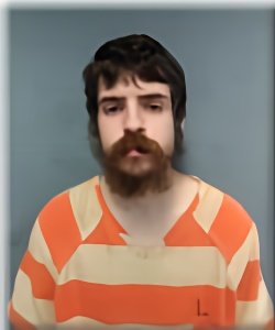 Mugshot of BRANDON BRACKIN
