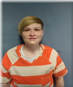 Mugshot of AMY DOUGLAS