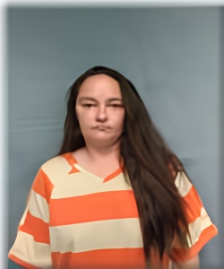 Mugshot of KRISTEN COLLINS