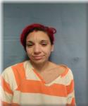 Mugshot of CHRISTINE SALESE