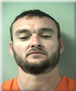 Mugshot of BRIAN PERRYMAN