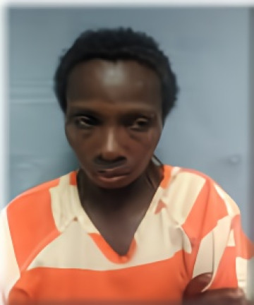 Mugshot of GEORGIA MCGEE
