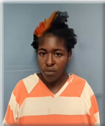 Mugshot of BENITA HARRISON