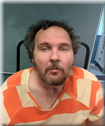 Mugshot of DAVID MEHLINGER